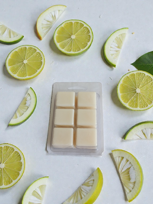 Lime In The Coconut Wax Melts
